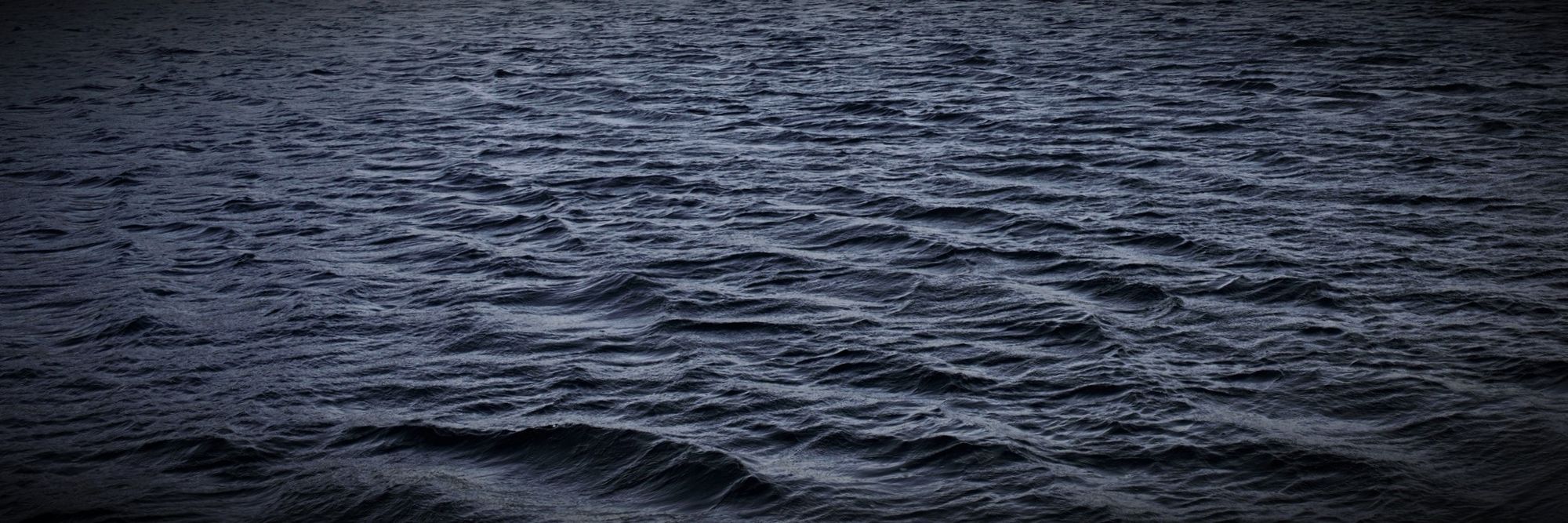 SUI Token Community Access Program