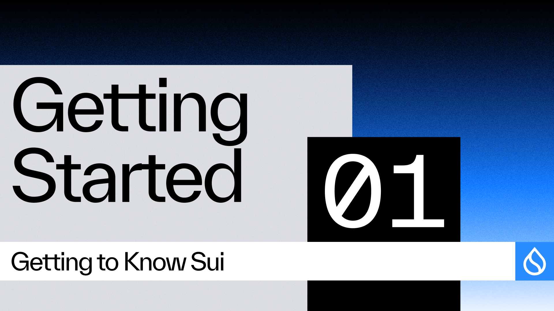 Getting Started on Sui: What is Sui?