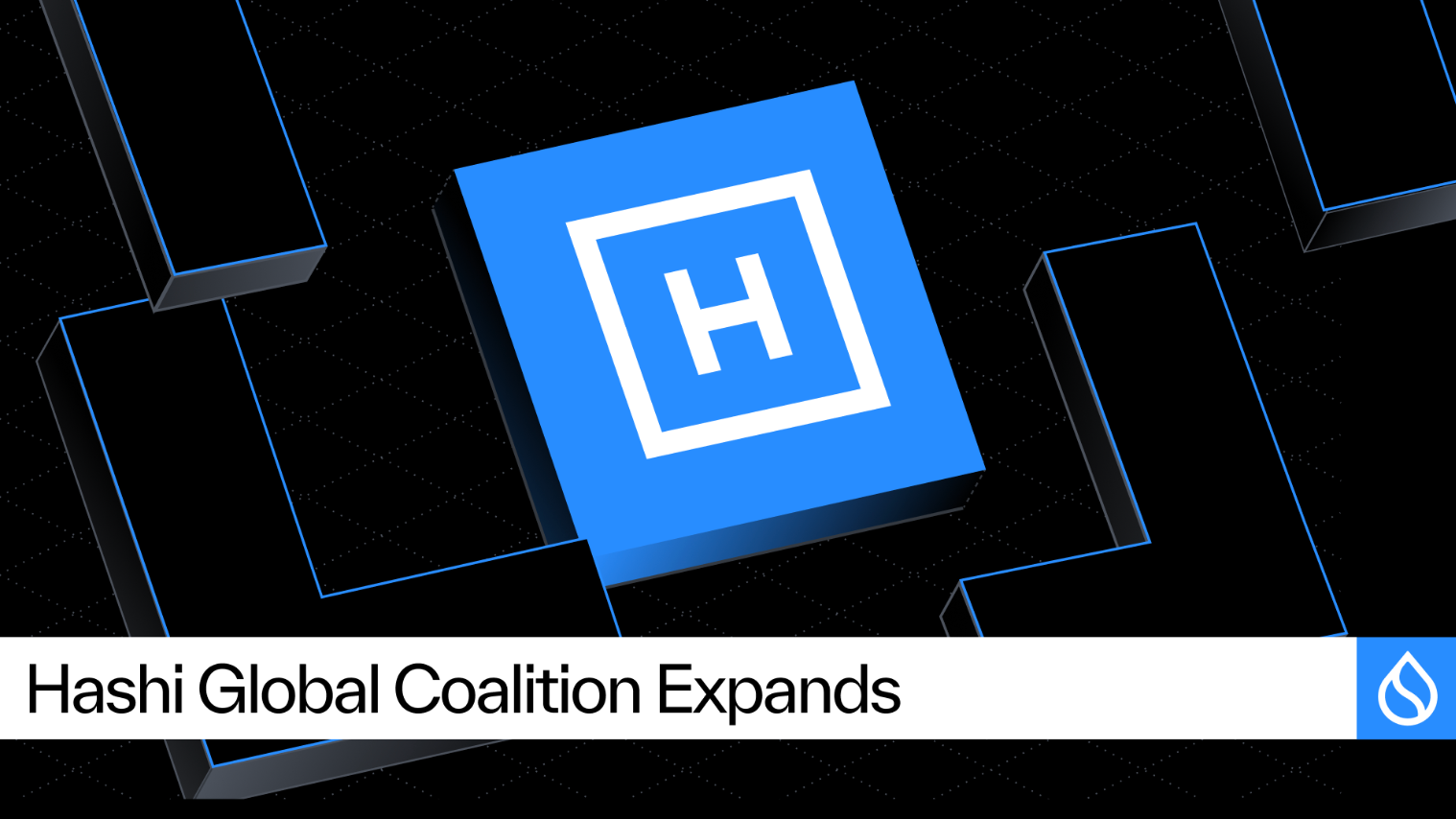 Cumberland, Fluid, and SwissBorg Join Leading Institutional Coalition on Hashi Ahead of July Global Testnet