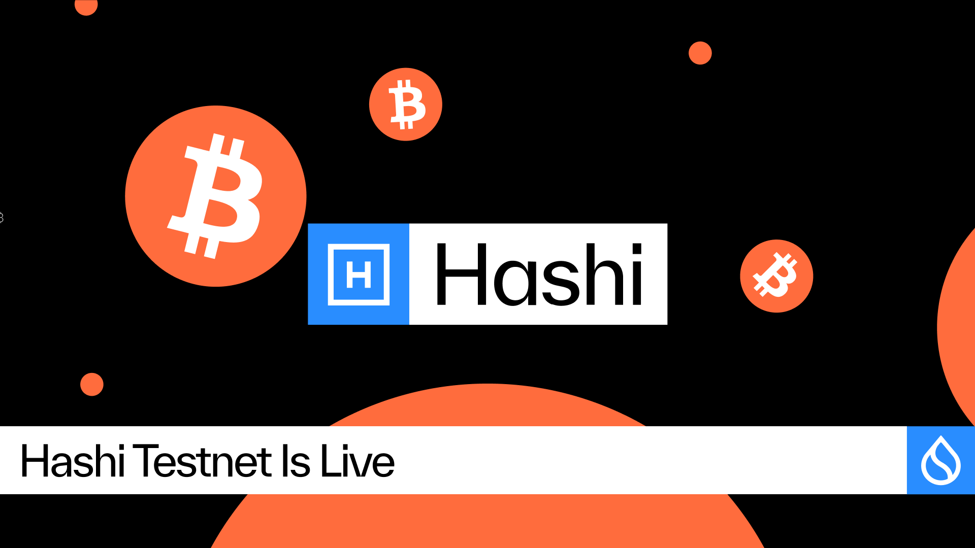 Hashi Testnet Is Live. Bringing Native Bitcoin Finance One Step Closer to Global Adoption