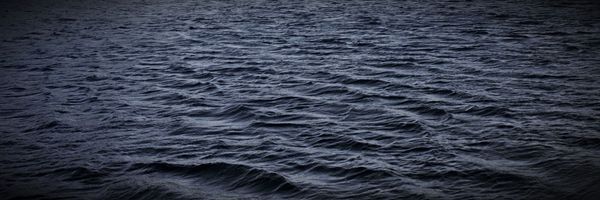 SUI Token Community Access Program