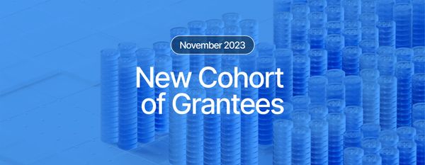 New Cohort Receives Over $500K in Sui Foundation Grants