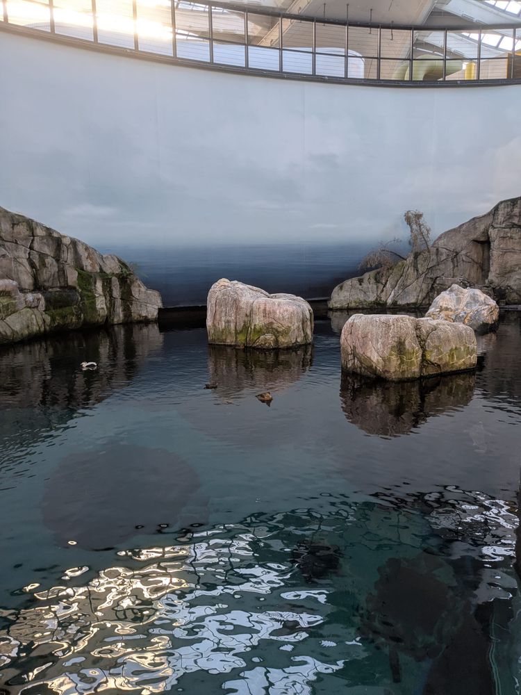 2.28.2025 - Weekly Digest