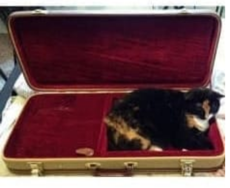 I'll See Myself Out, Thanks