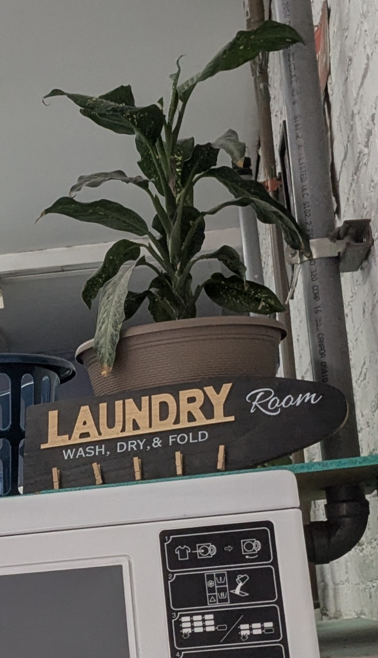 Laundry Isn't Political