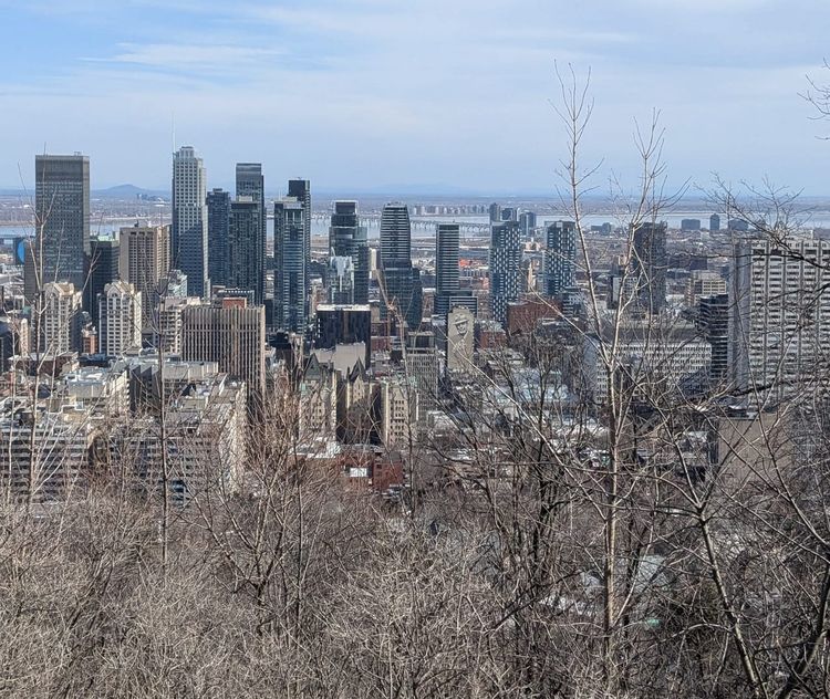 Handbook to Field (2)