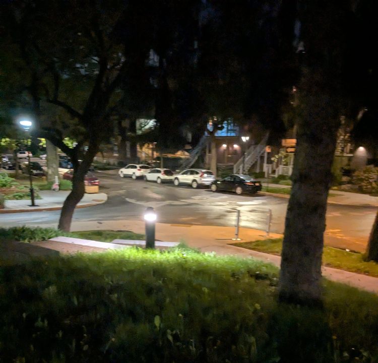 photo: rainy corner park scene at night
