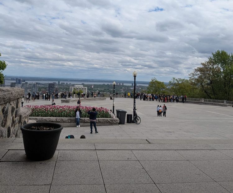 photo: terrace view from Mt Royal Chalet