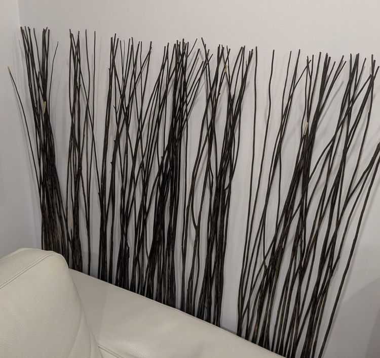 photo: room decor; some synthetic reeds of some kind I guess, dark against white wall