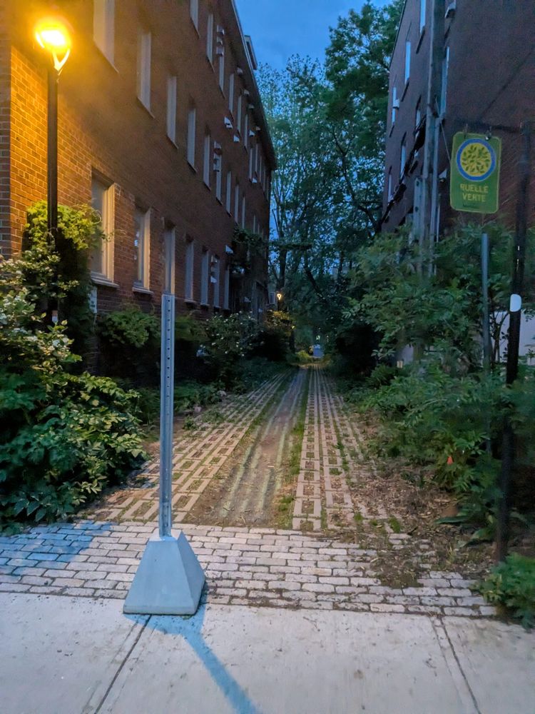 photo: a green and mossy alley under a street lamp; sign: Ruelle Verte