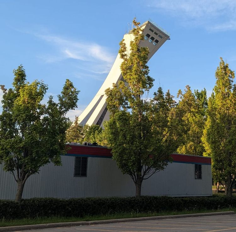 photo: Tower of Montreal behind some trees