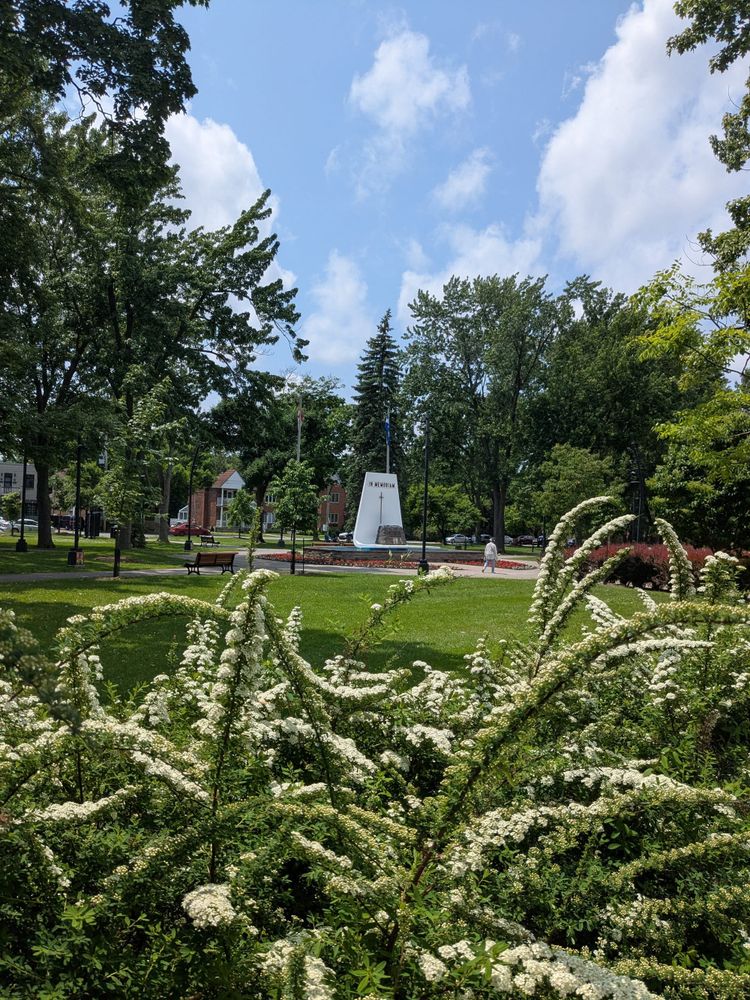 photo: memorial monument way off in a park behind spirea in the foreground