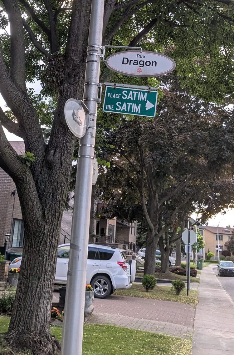 photo: street sign on a residential sidewalk: Rue Dragon/Nantel/Satim