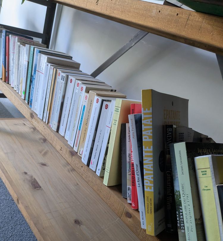 photo: French books on a shelf