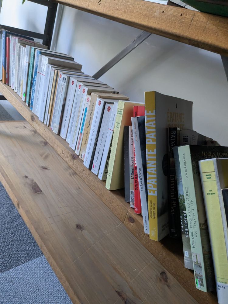 photo: books in French on a bookshelf