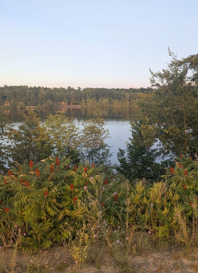 8.01.2025 - Weekly Digest