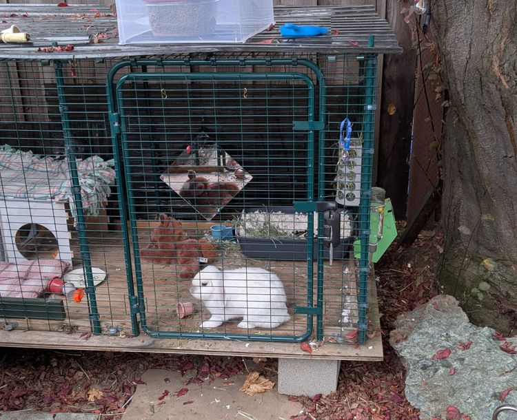 8.29.2025 - Weekly Digest