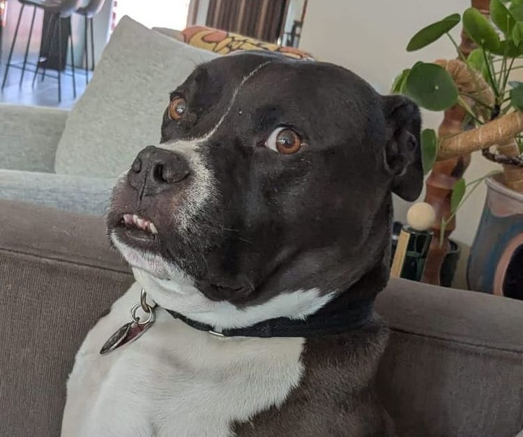 9.26.2025 - Weekly Digest