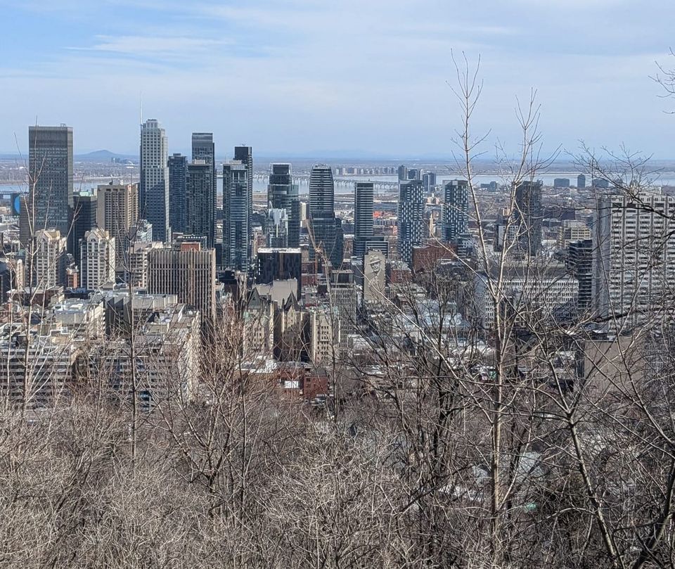 Handbook to Field (2)