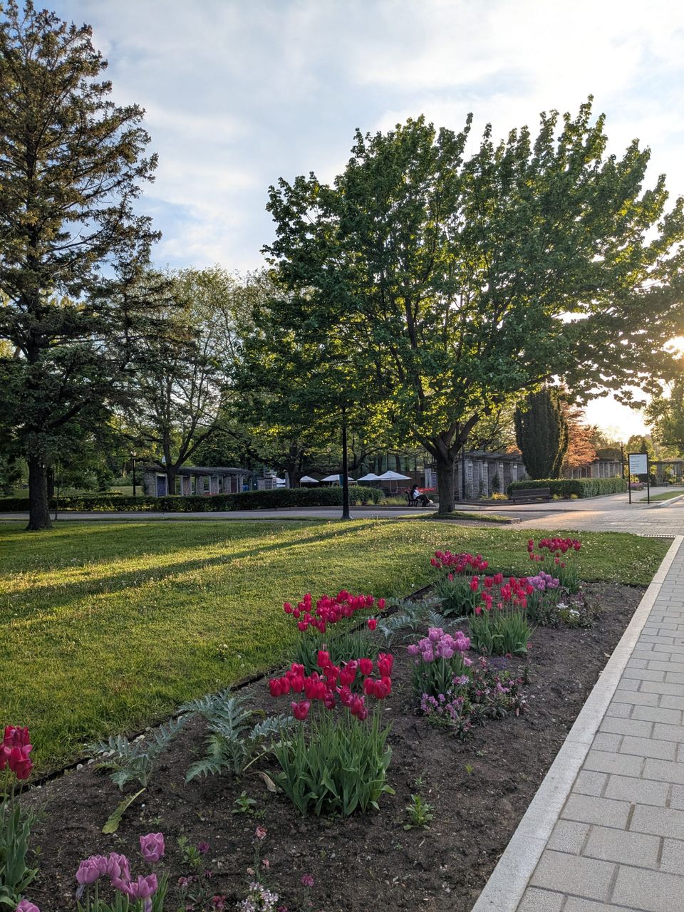 photo: flowers and trees at the Jardine Botanique