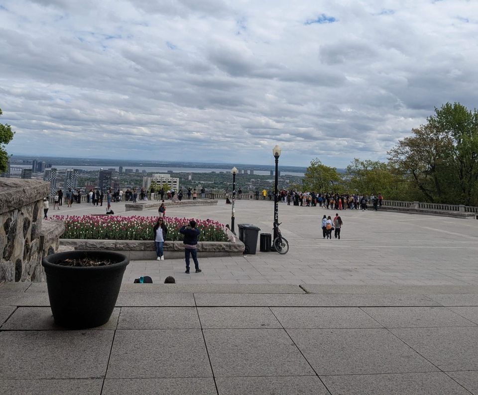 photo: terrace view from Mt Royal Chalet