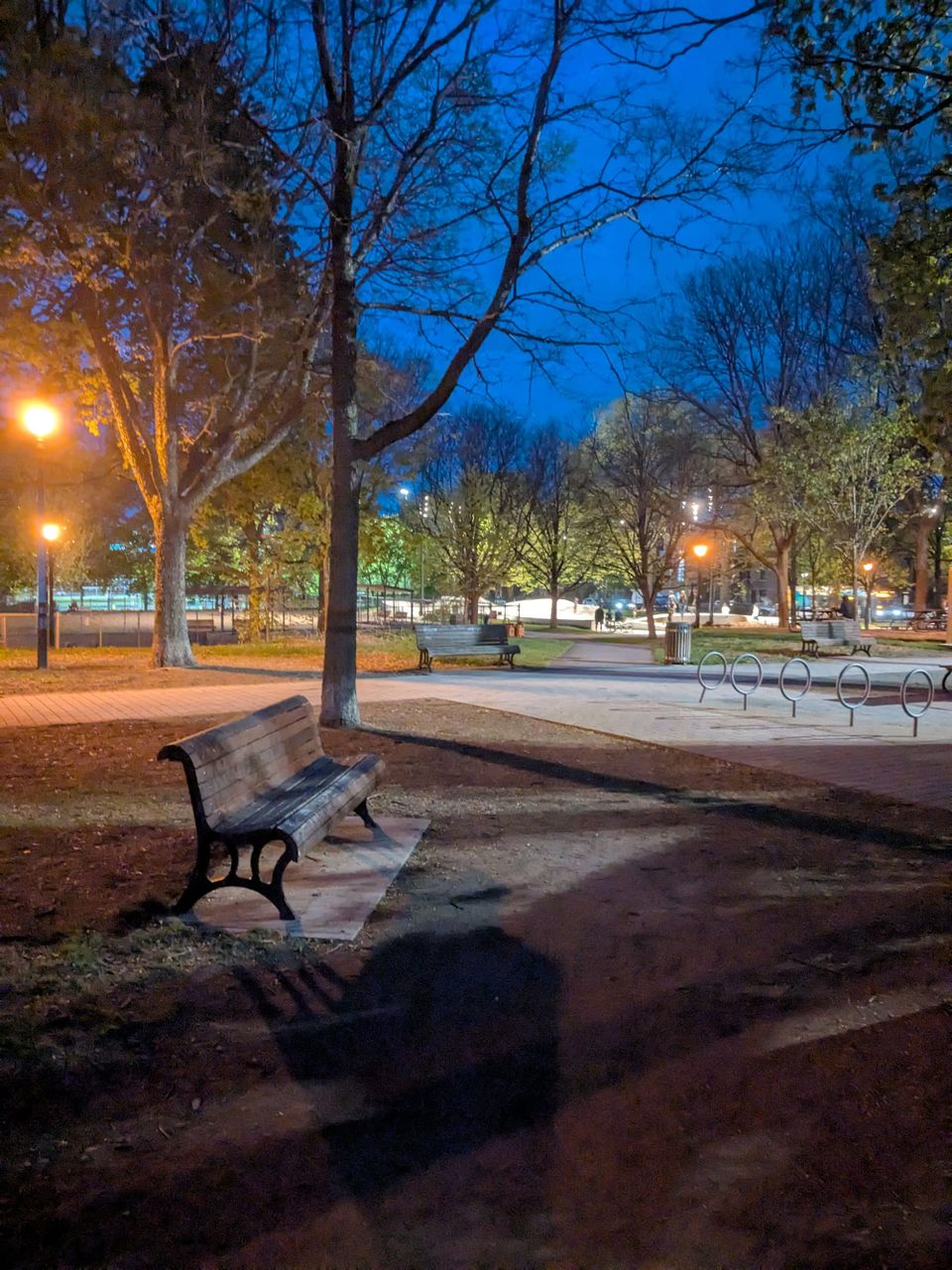 photo: park at night, bench in foreground