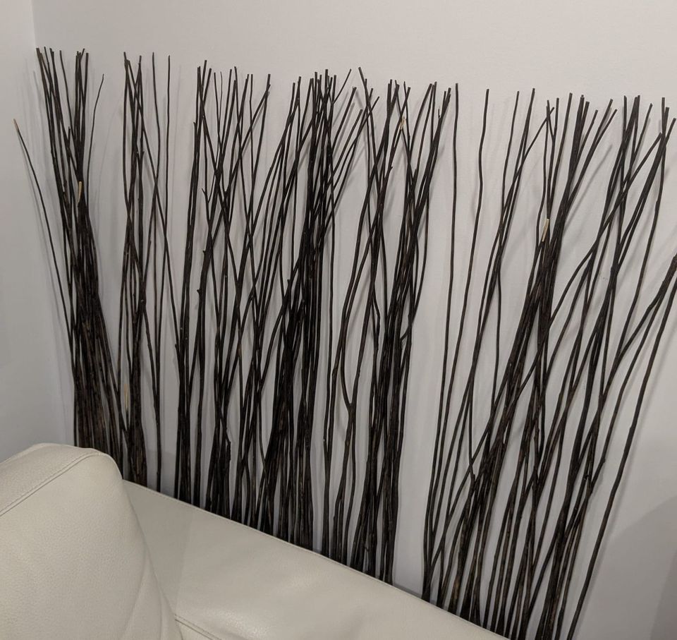 photo: room decor; some synthetic reeds of some kind I guess, dark against white wall