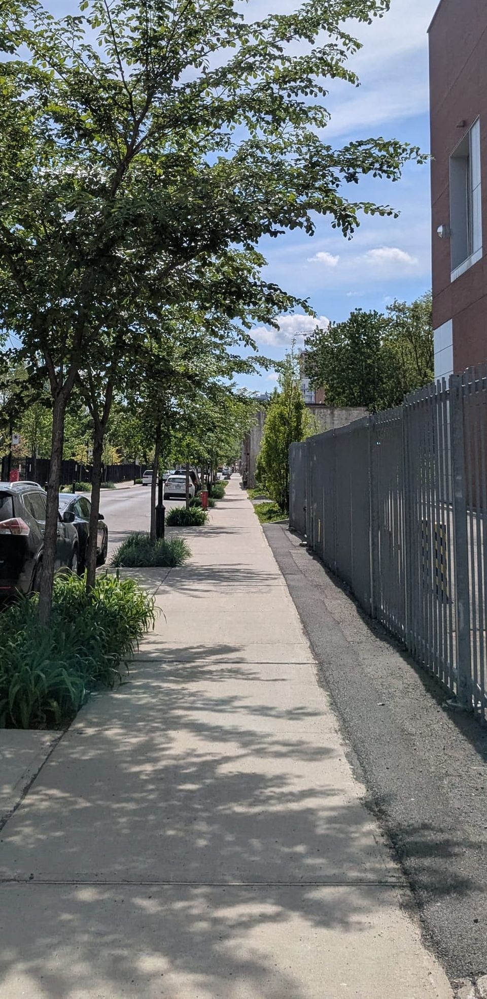 photo: street view: sidewalk, trees, cars on a sunny day