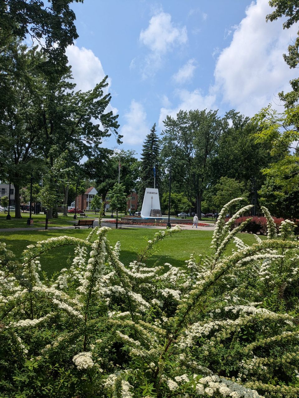 photo: memorial monument way off in a park behind spirea in the foreground