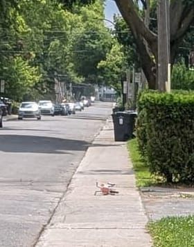 photo: child's bike toppled over on the sidewalk