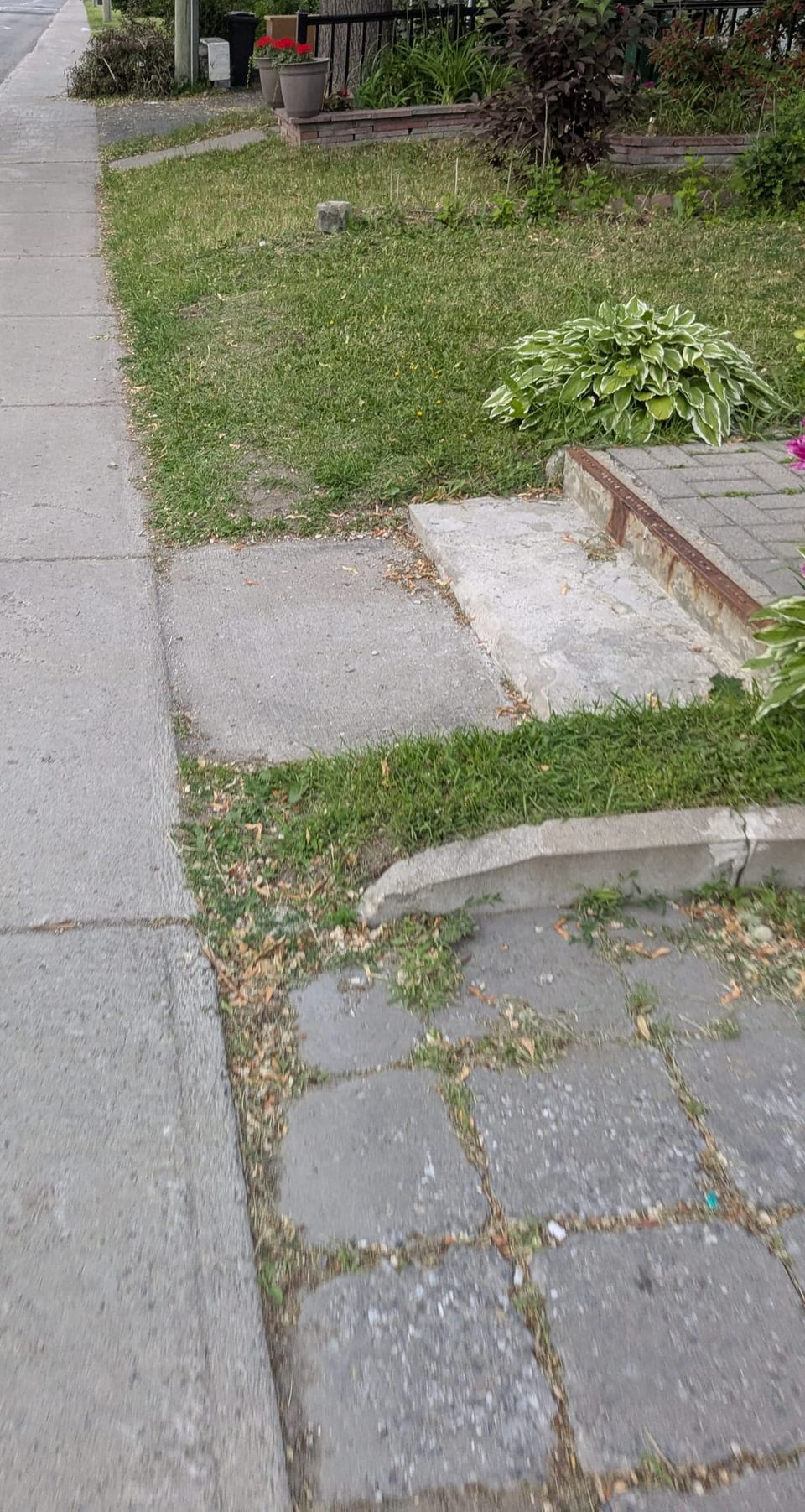 photo: sidewalk, walkway, someone's yard
