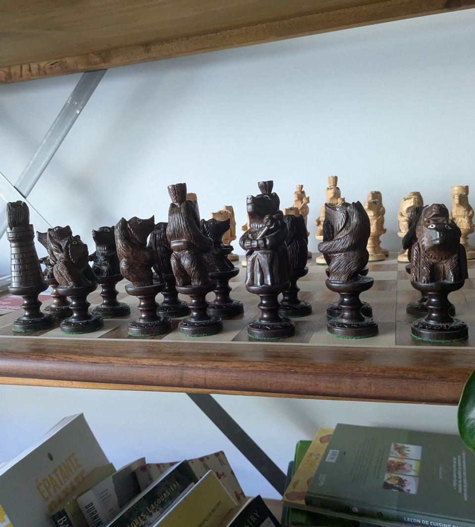 photo: chess pieces on a bookshelf