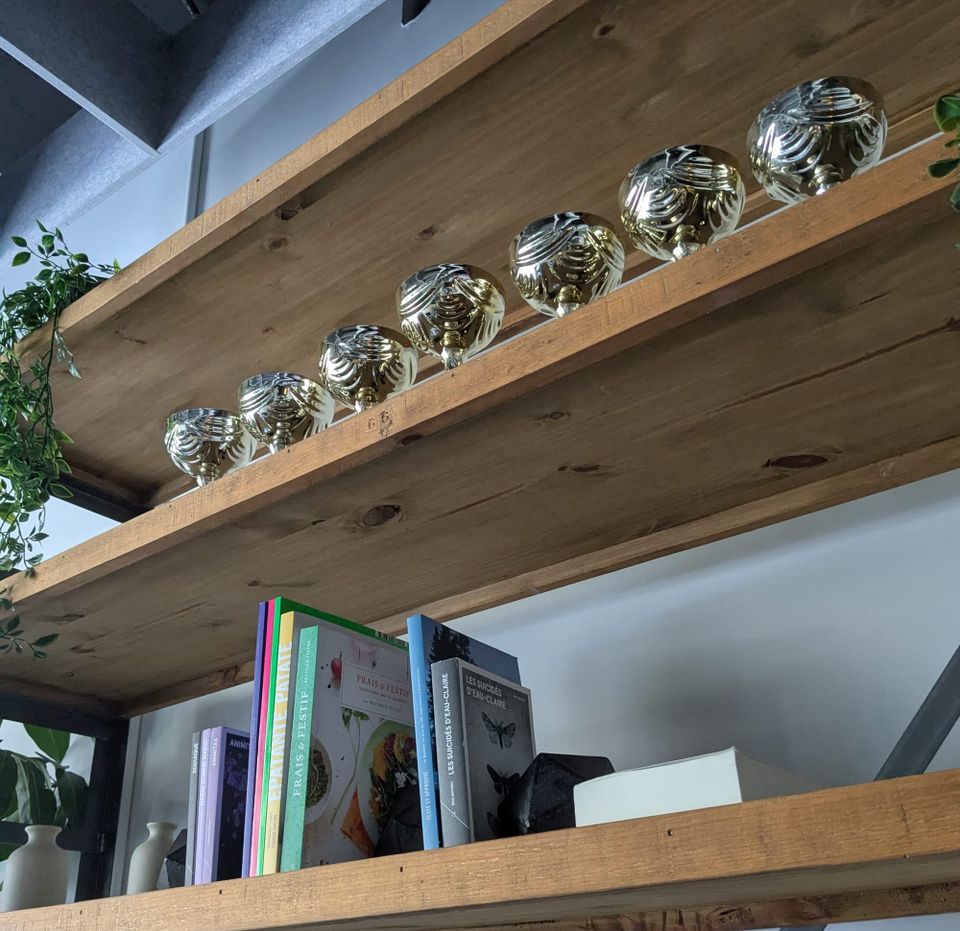photo: a row of French chalices on a bookshelf above some French books