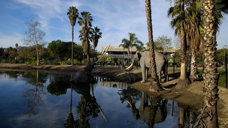 photo: la brea tarpits, los angeles