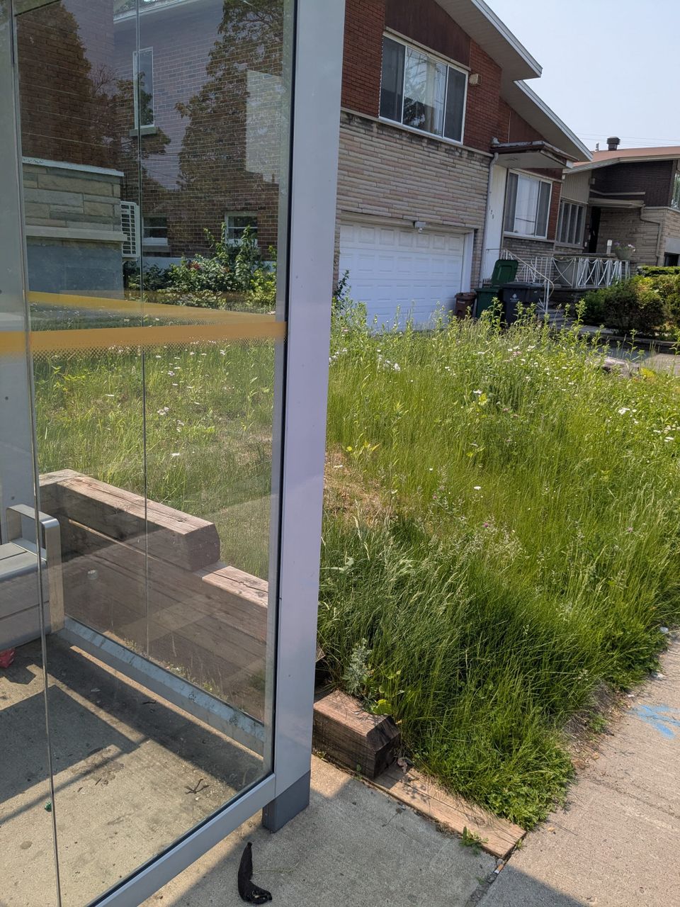 photo: edge of a bus stop (glass, metal, wood) next to some prairie grass with houses in background