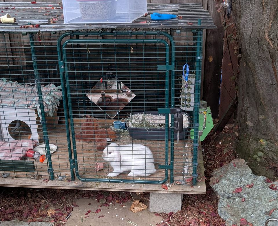 8.29.2025 - Weekly Digest