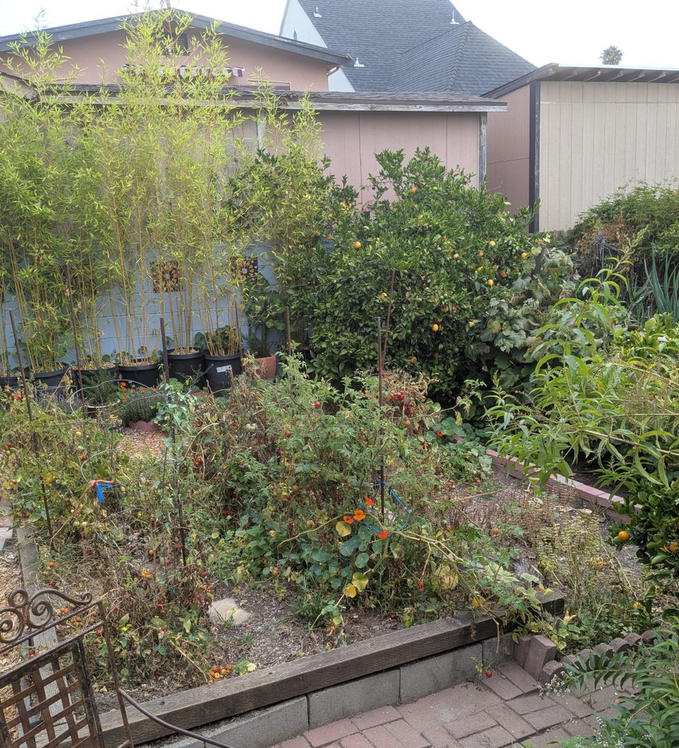 9.19.2025 - Weekly Digest