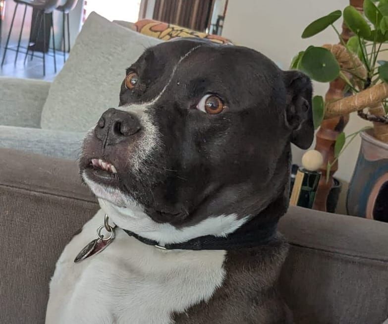 9.26.2025 - Weekly Digest