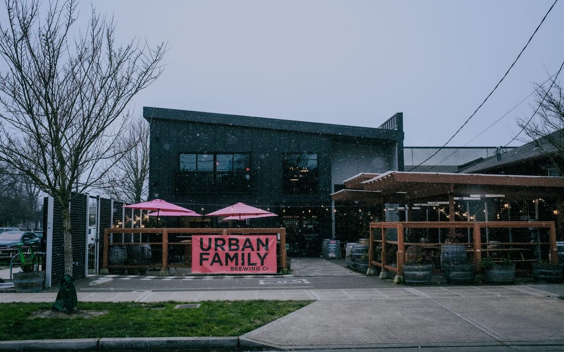 Urban Family in the light snow