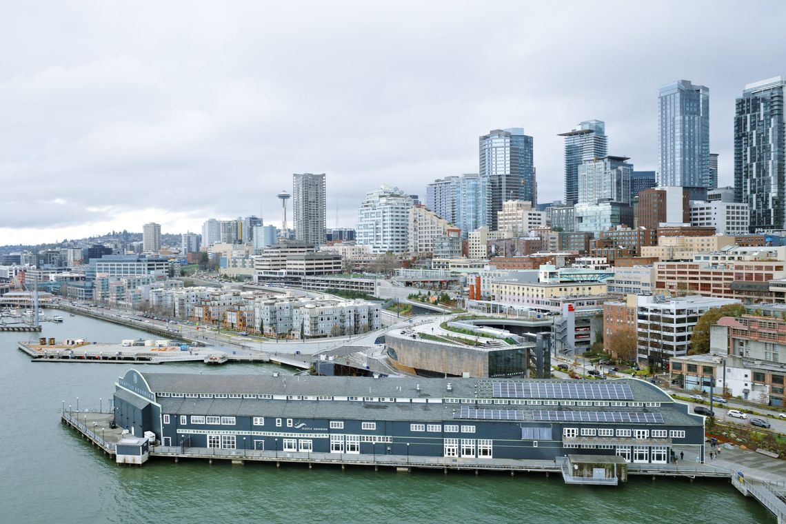From the Seattle Ferris wheel