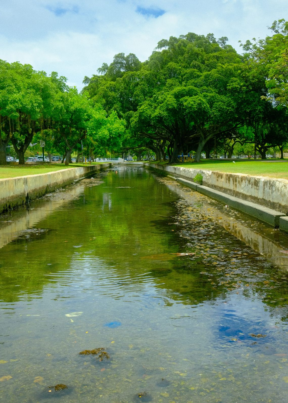 Honolulu stream