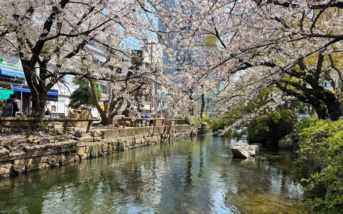 I made it to Okayama!