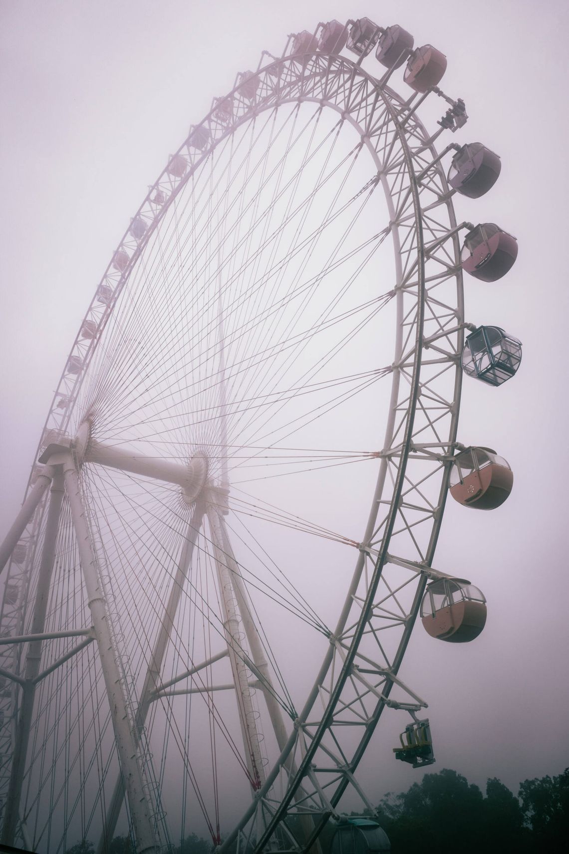 Brazilian Park Washuzan Highland