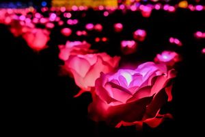 Tokyo mega illumination