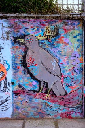 Street art in Costa Rica is WILD