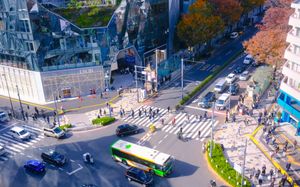 I really love Shibuya.