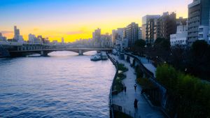 We're back to our usual programming!