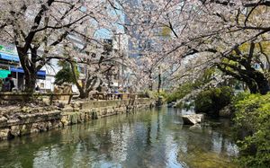 I made it to Okayama!