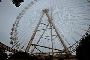 Farris Wheel