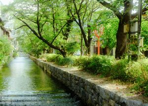 Kyoto in the Summer
